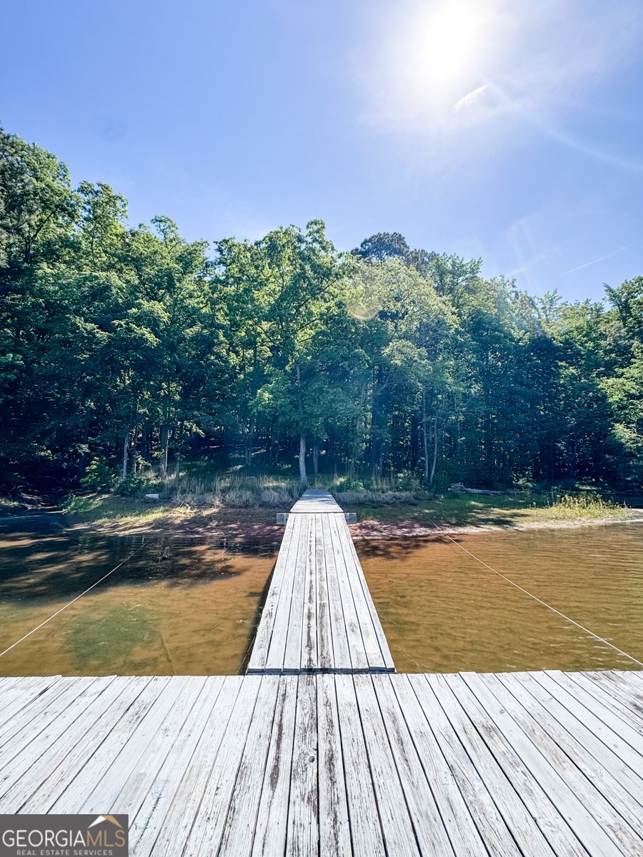 1017 Riverside Drive Lagrange - Photo 45