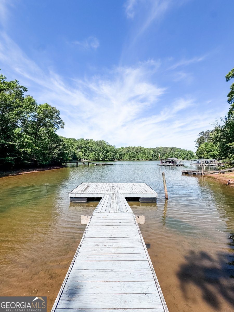 1017 Riverside Drive Lagrange - Photo 46