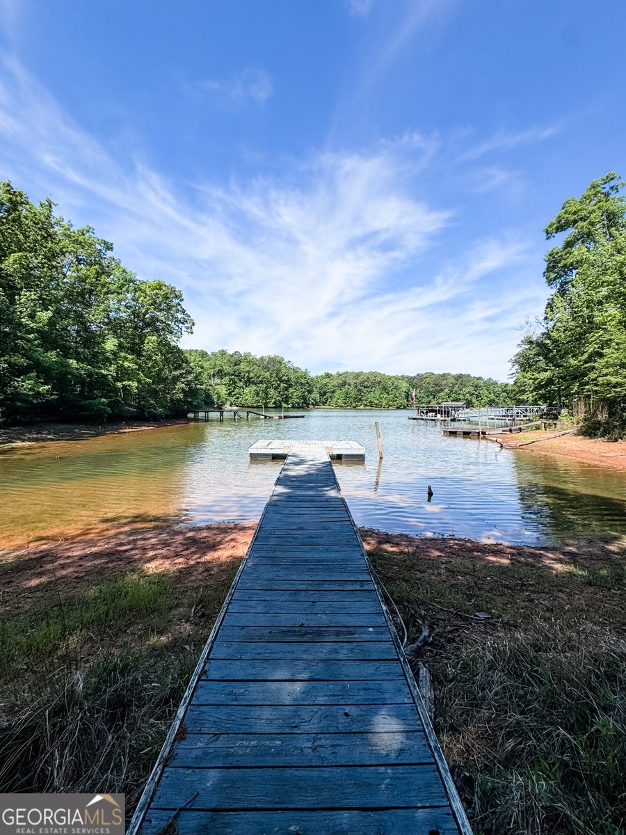 1017 Riverside Drive Lagrange - Photo 47