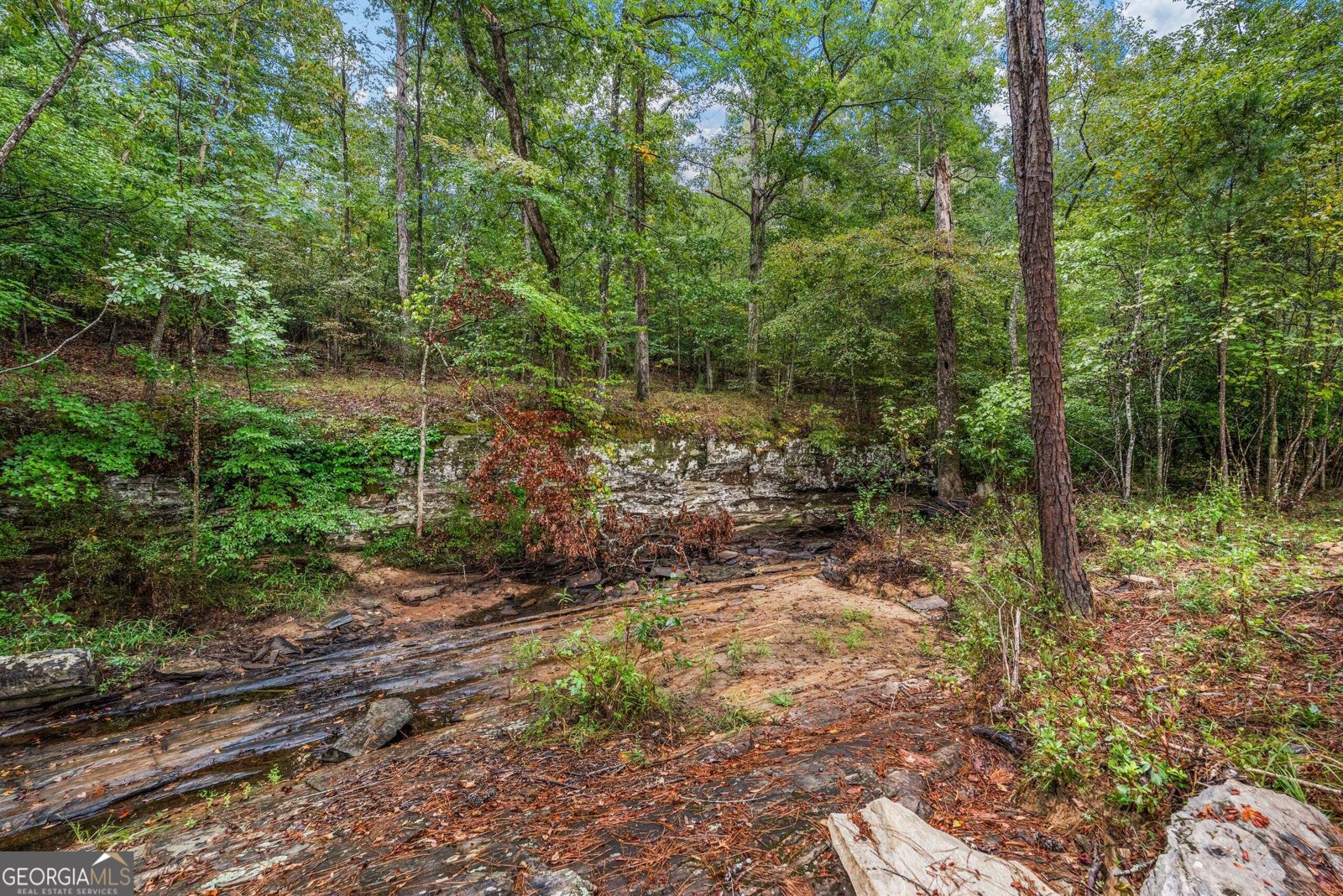 832 Voorhees Road Hamilton - Photo 47