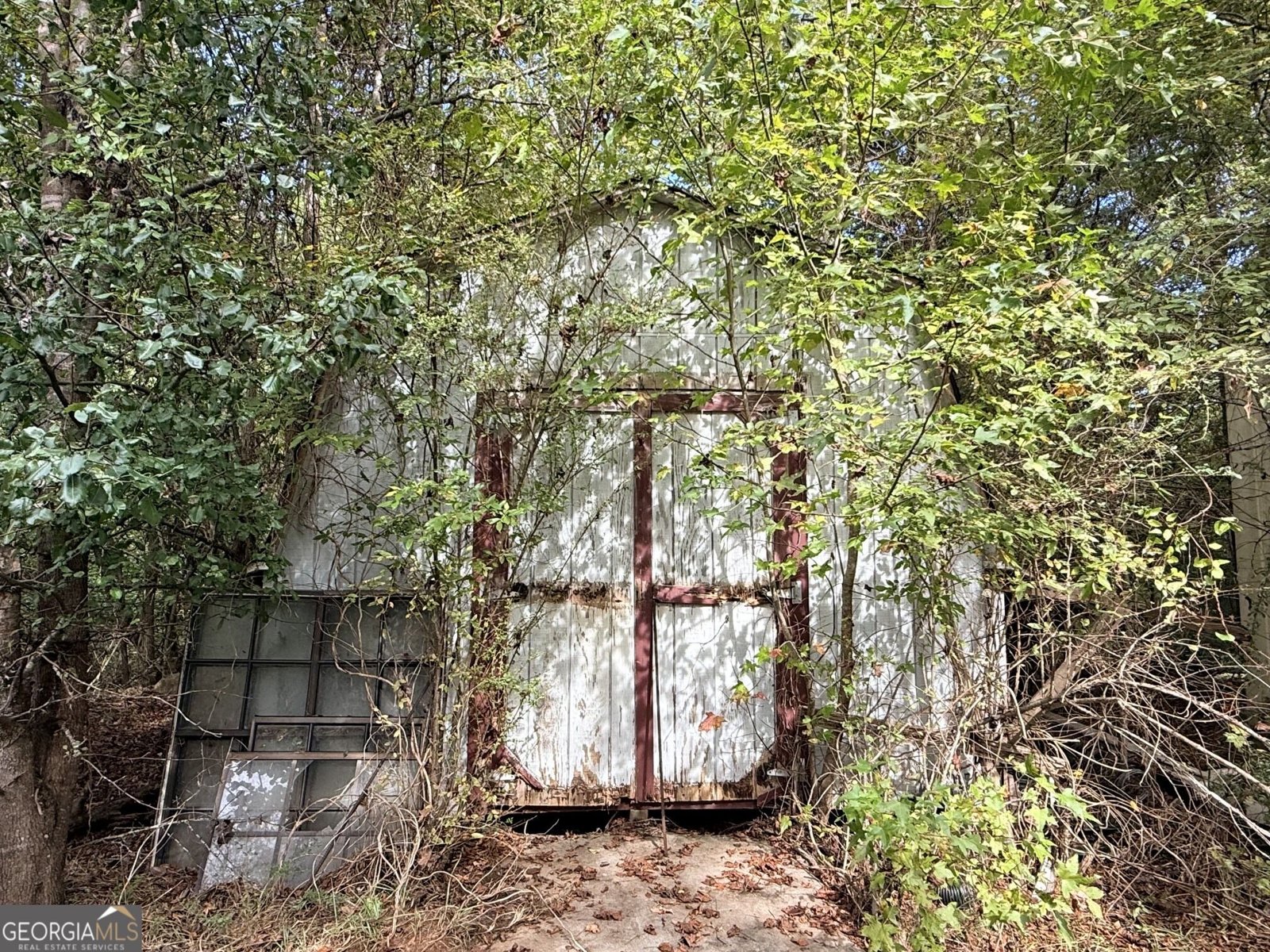 1050 Scott Branch Road Williamson - Photo 36