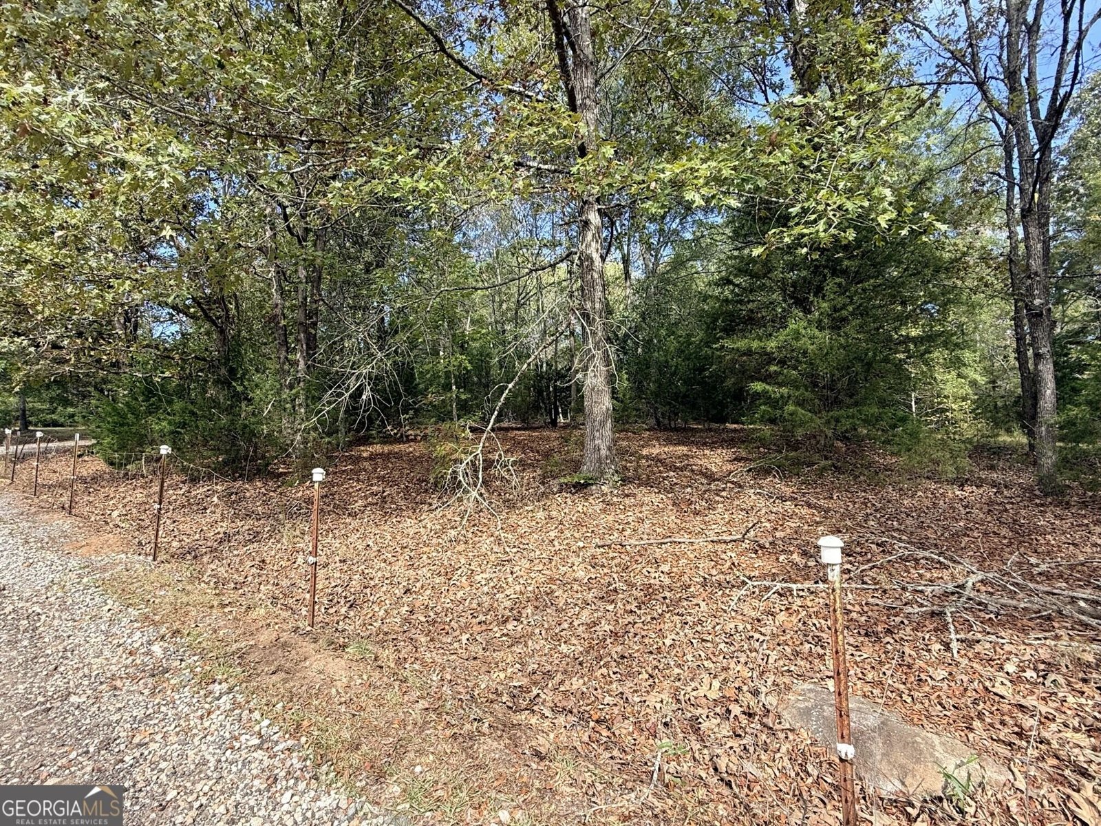 1050 Scott Branch Road Williamson - Photo 40