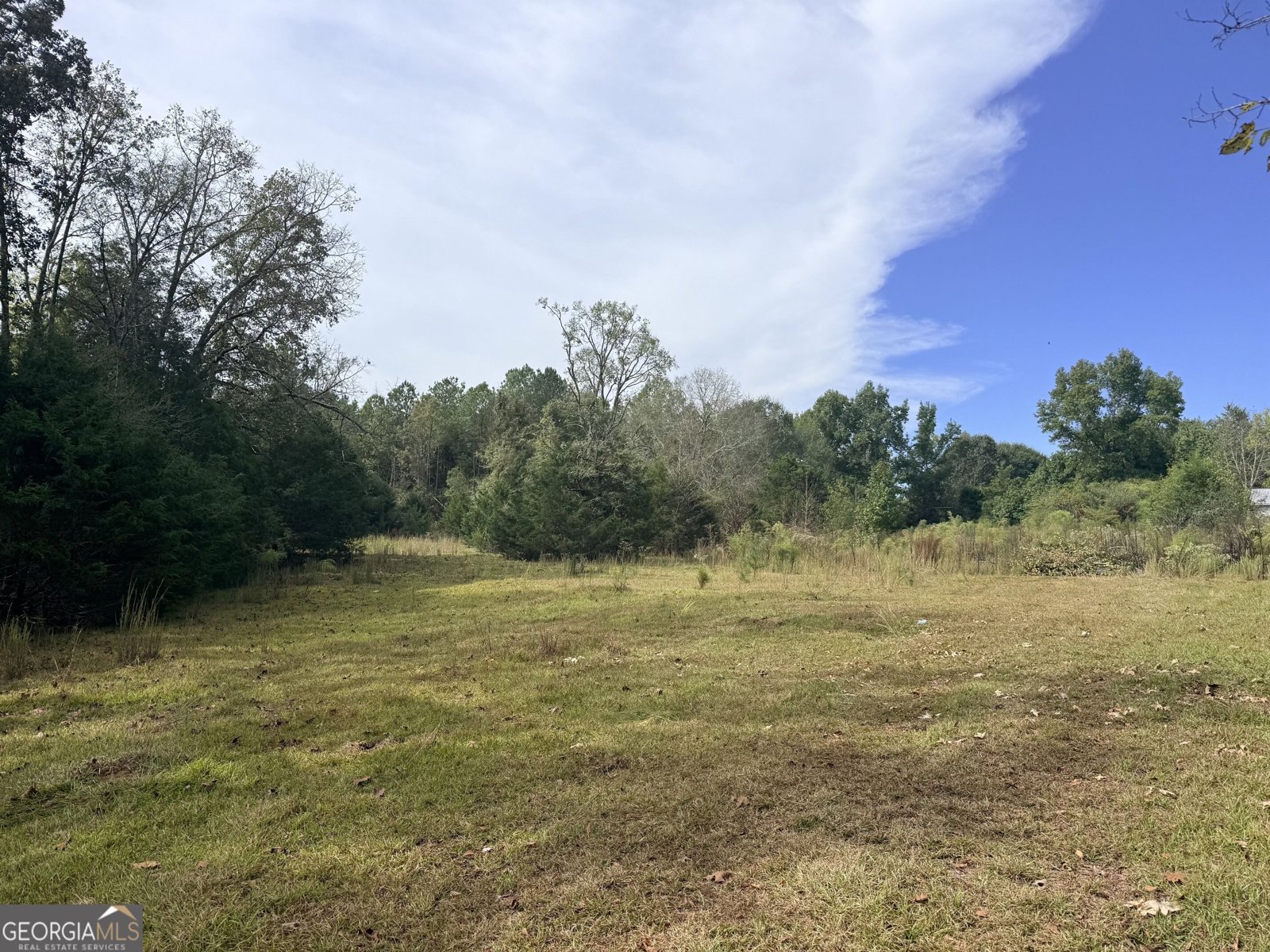 1050 Scott Branch Road Williamson - Photo 42