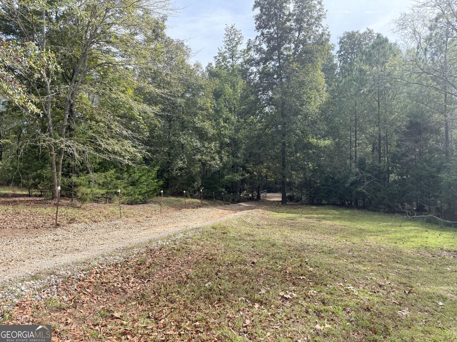 1050 Scott Branch Road Williamson - Photo 43