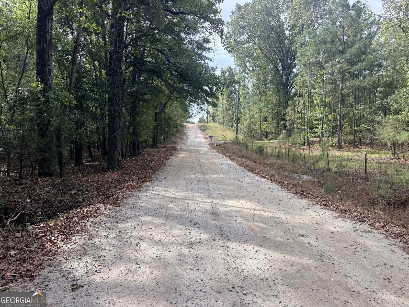 1050 Scott Branch Road Williamson - Photo 44