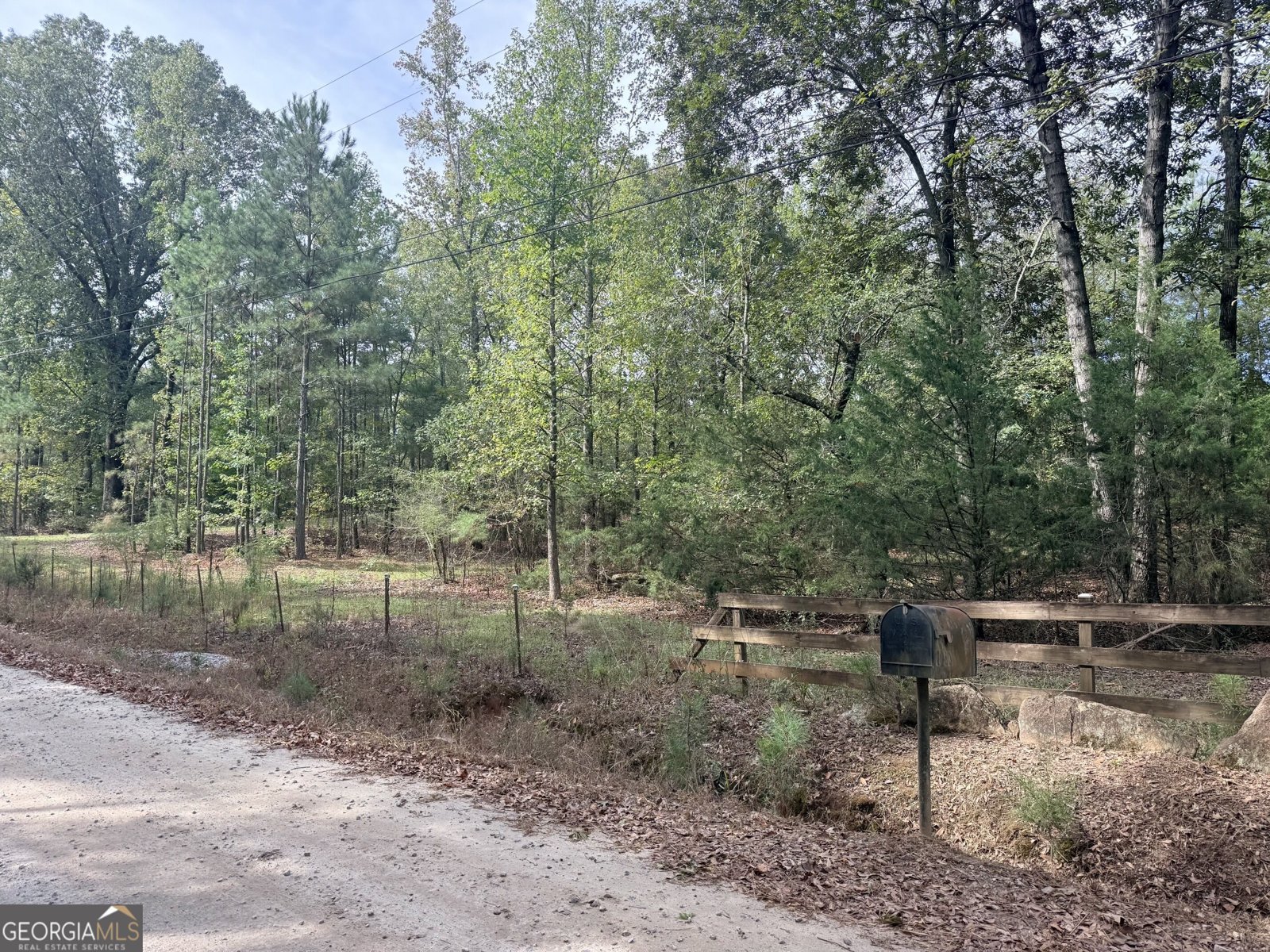 1050 Scott Branch Road Williamson - Photo 45