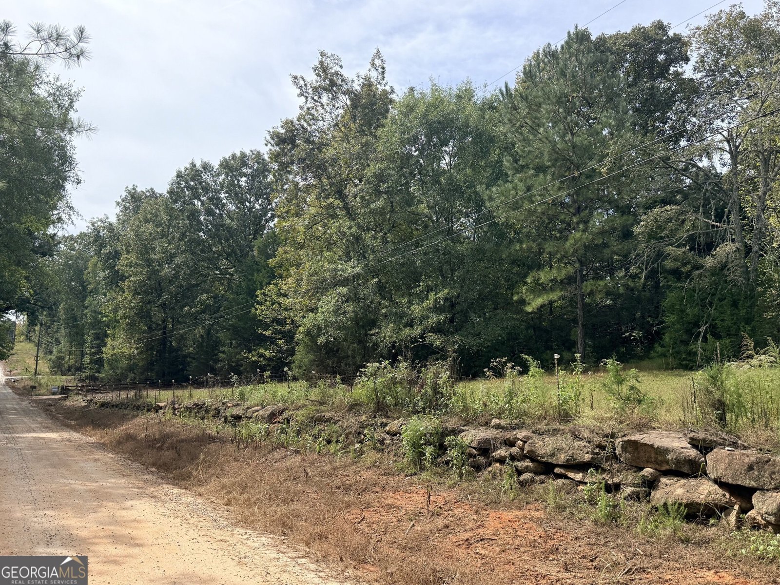 1050 Scott Branch Road Williamson - Photo 46