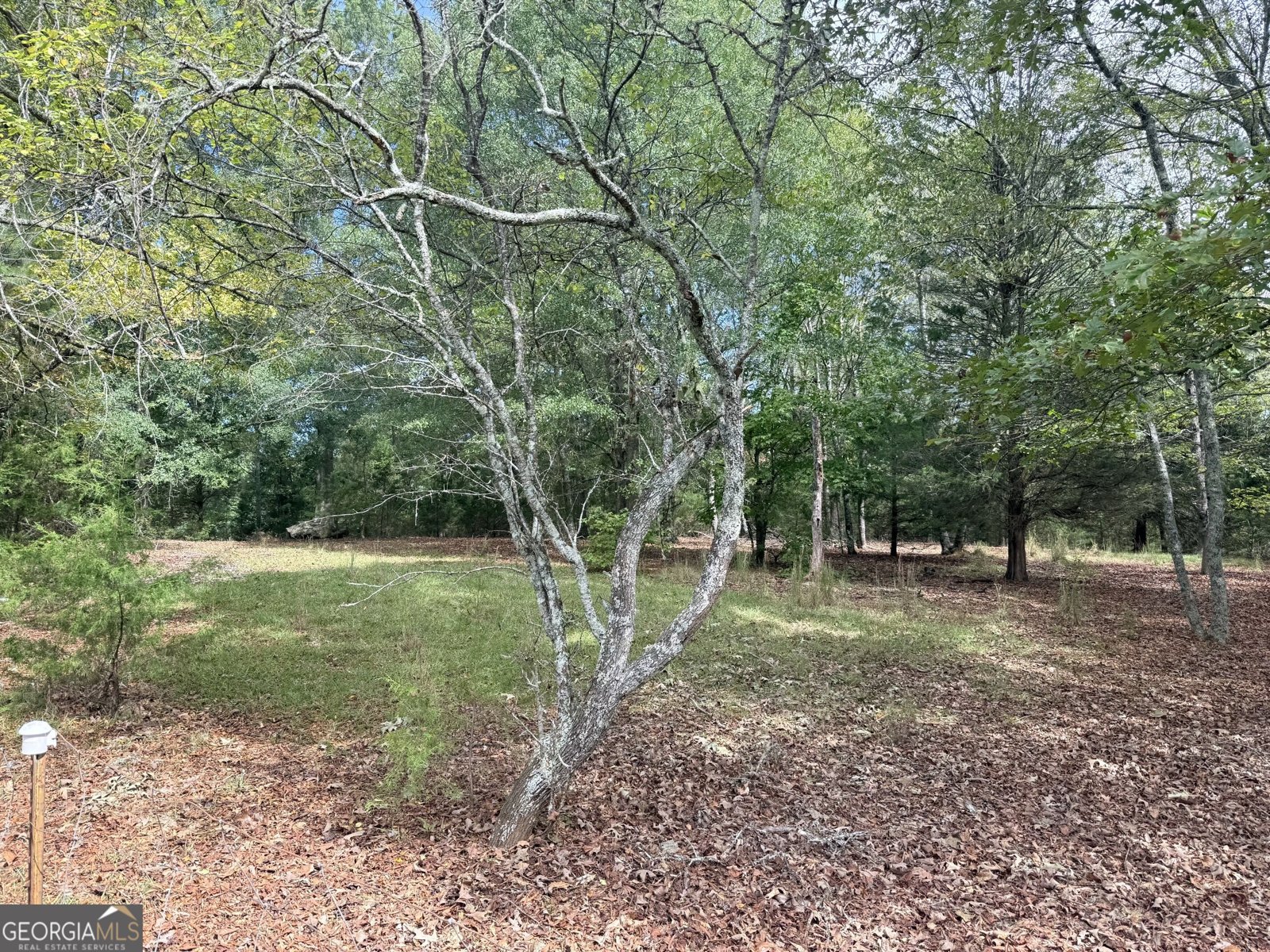 1050 Scott Branch Road Williamson - Photo 48