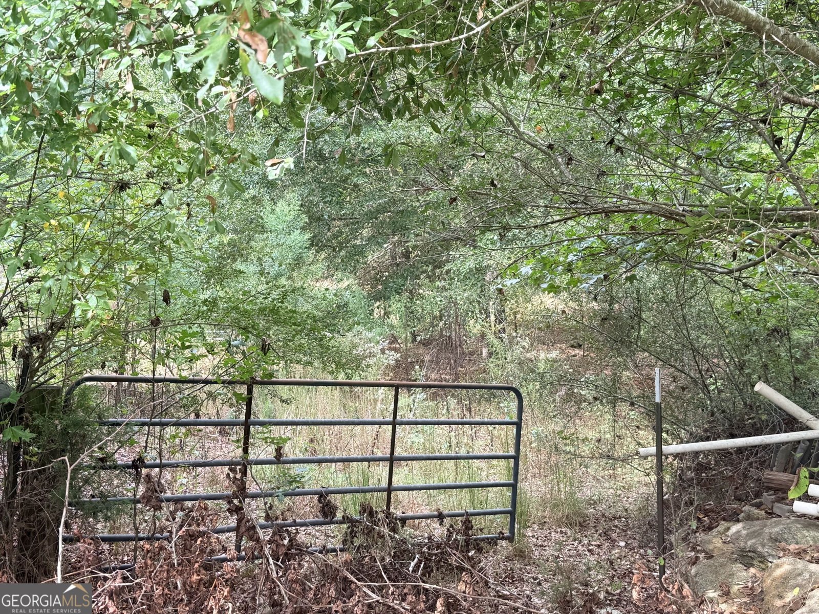 1050 Scott Branch Road Williamson - Photo 49