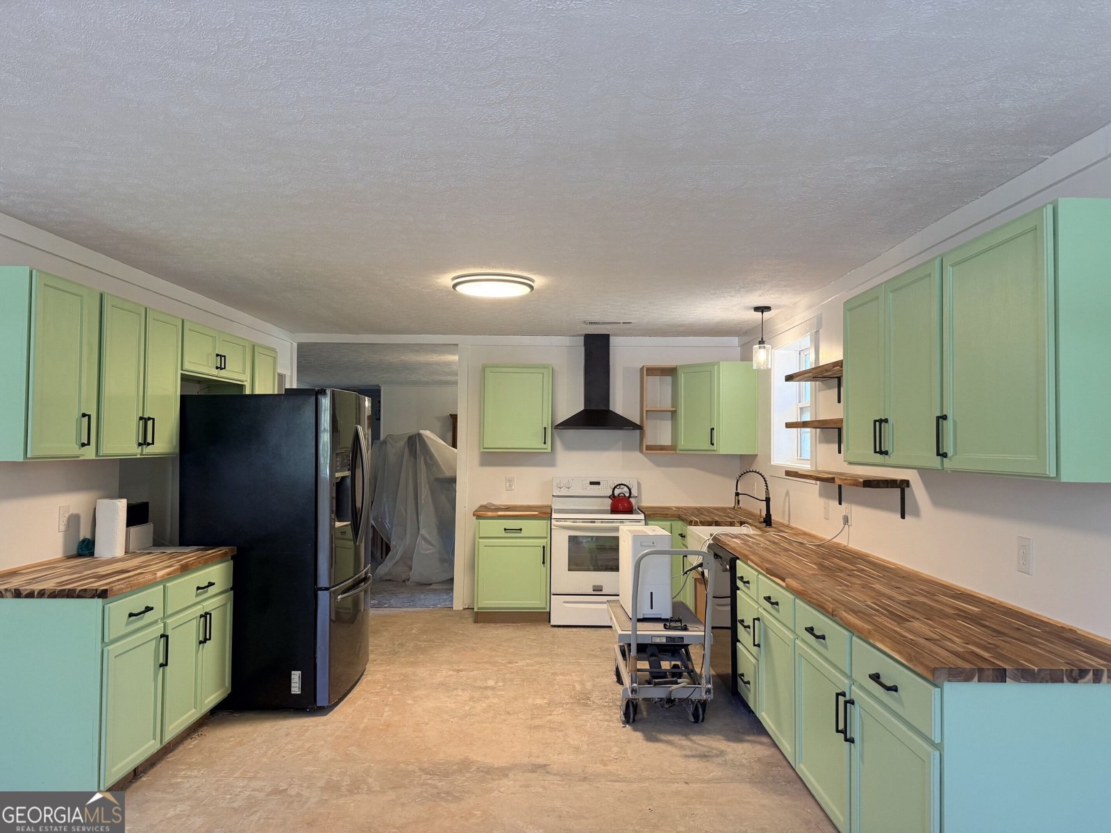 1050 Scott Branch Road Williamson - Photo 9