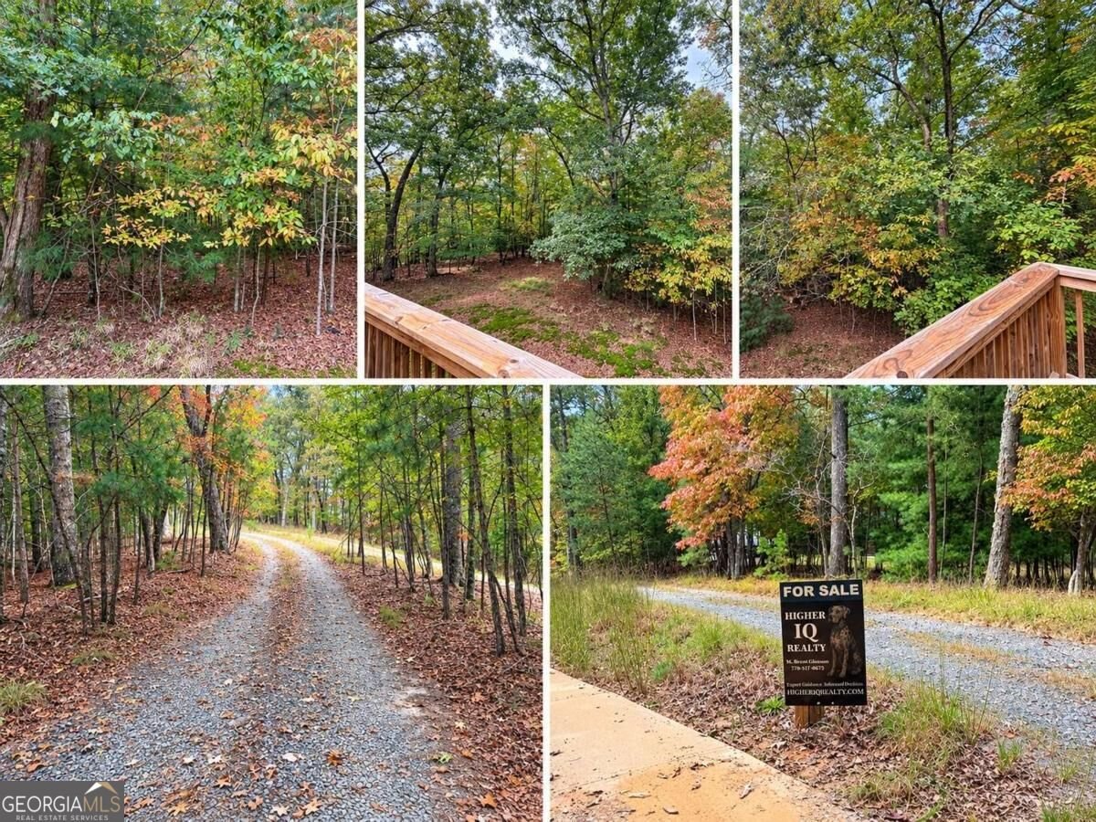 184 Jordan Drive Blue Ridge - Photo 18