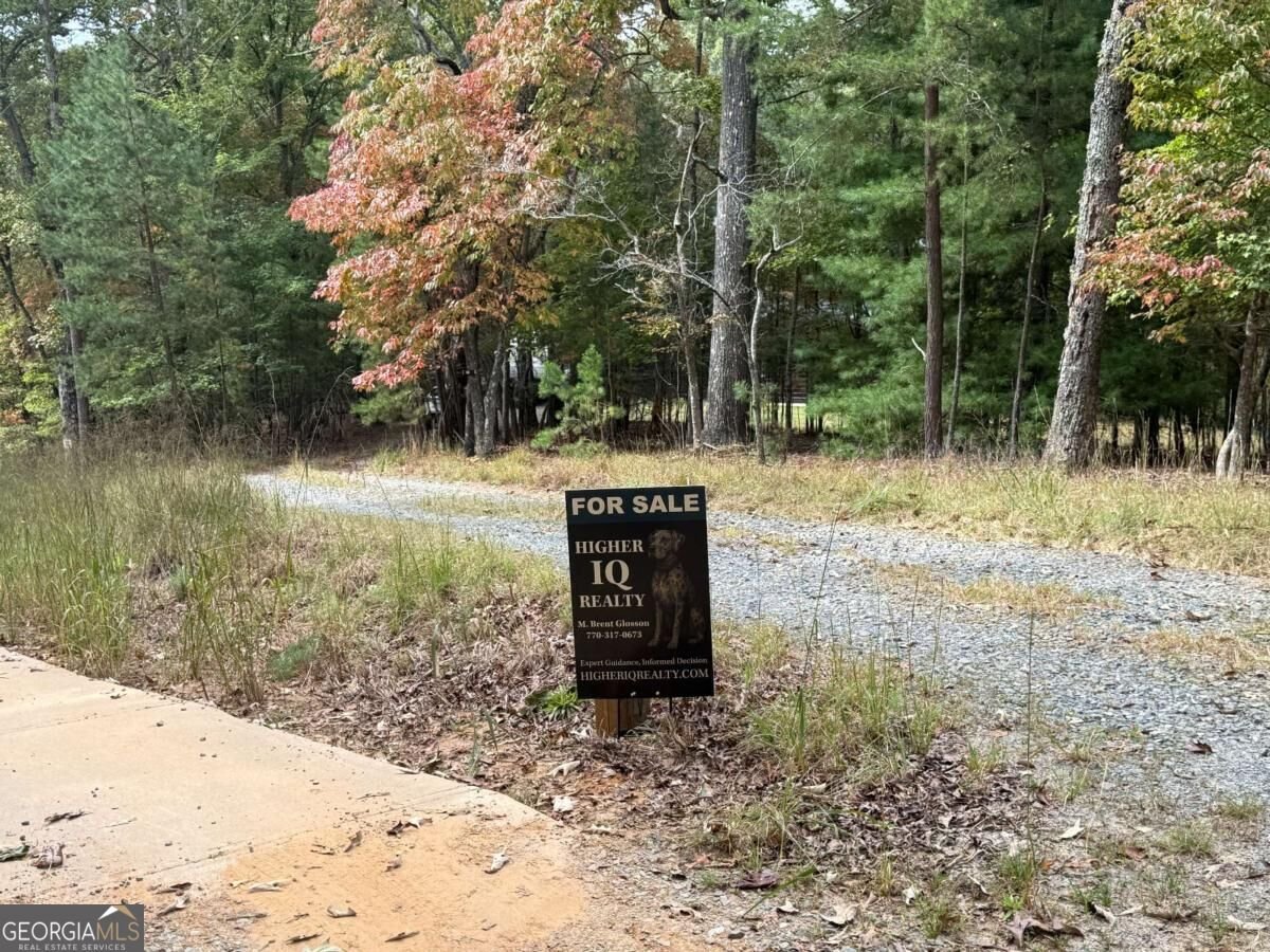 184 Jordan Drive Blue Ridge - Photo 20