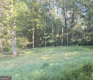 4371 Camaron Way Snellville - Photo 21