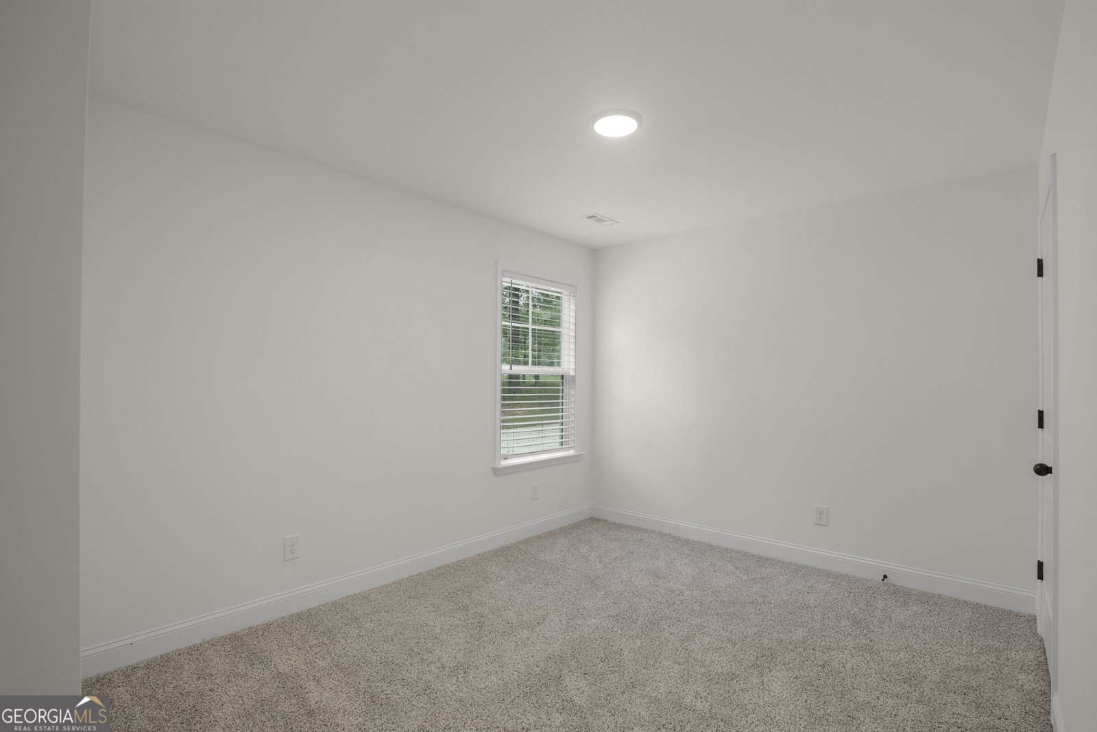 1788 Standing Rock Road Senoia - Photo 43
