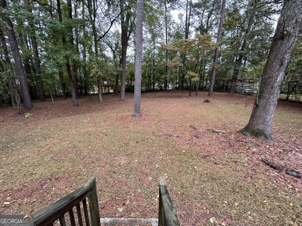 3408 Concord Corner Conyers - Photo 19