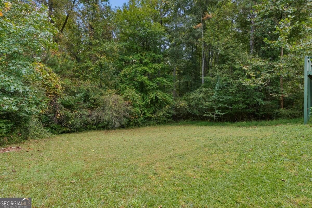 7598 Stonebush Way Douglasville - Photo 20