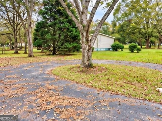 351 Borders Road Fort Valley - Photo 15