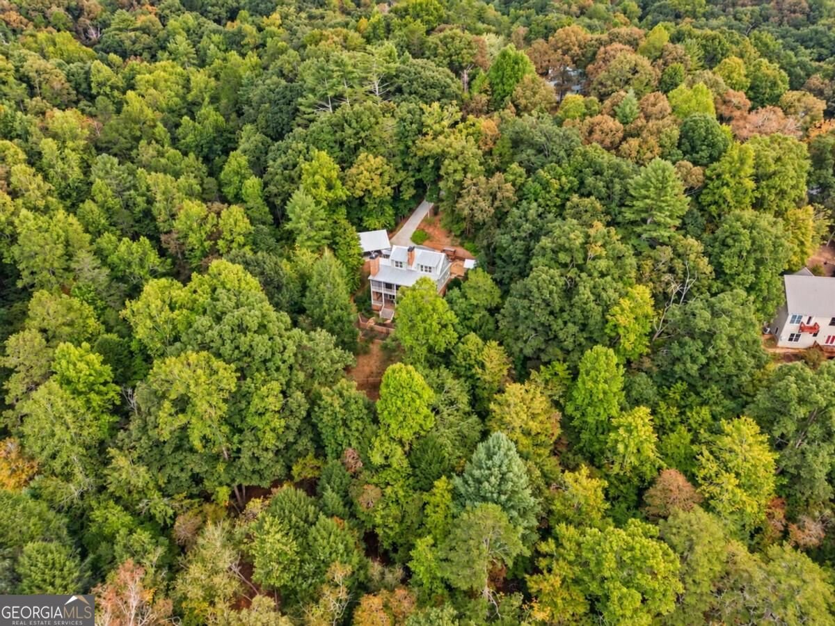 224 River Rock Drive Dahlonega - Photo 71