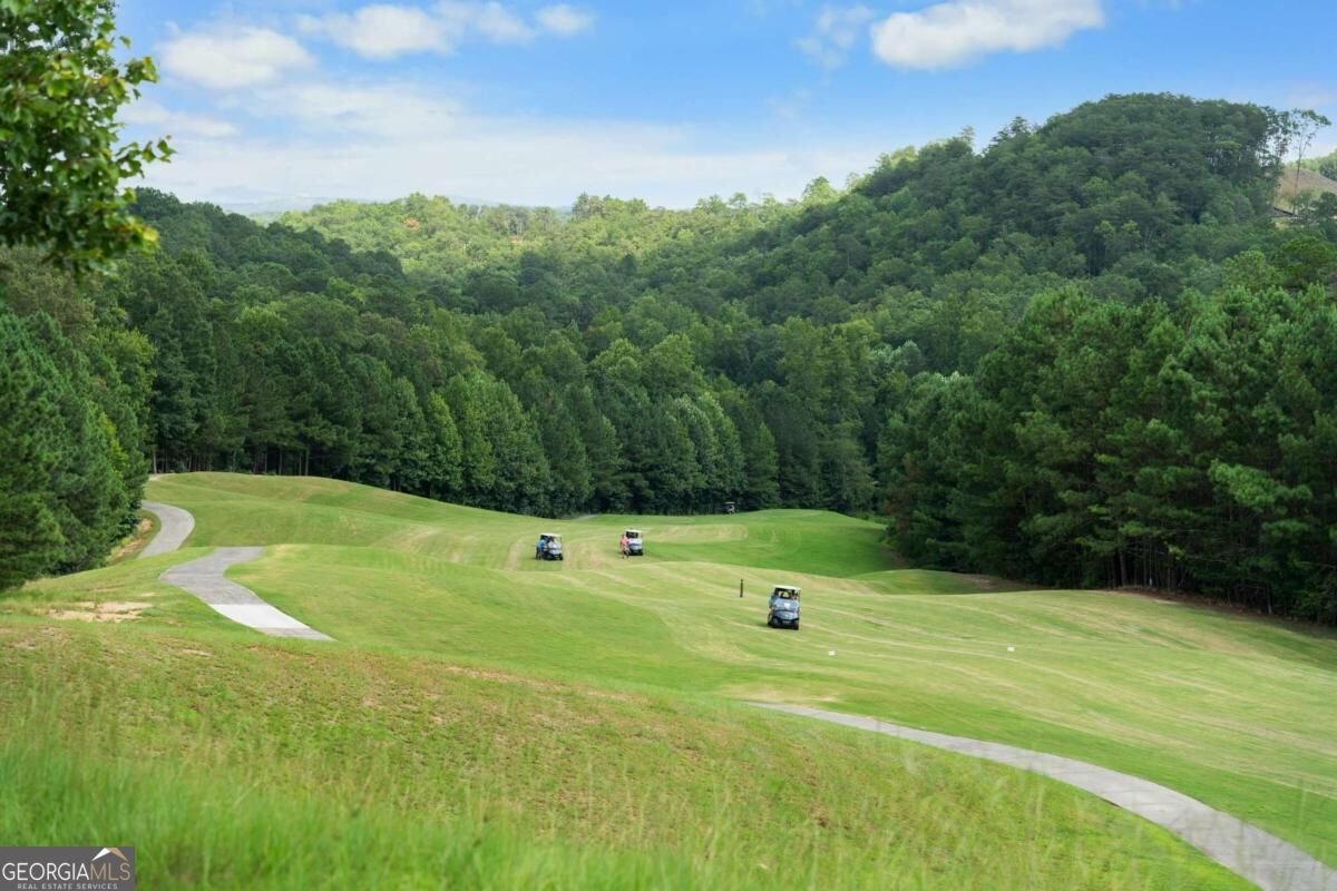 104 Cherokee Cove Waleska - Photo 60