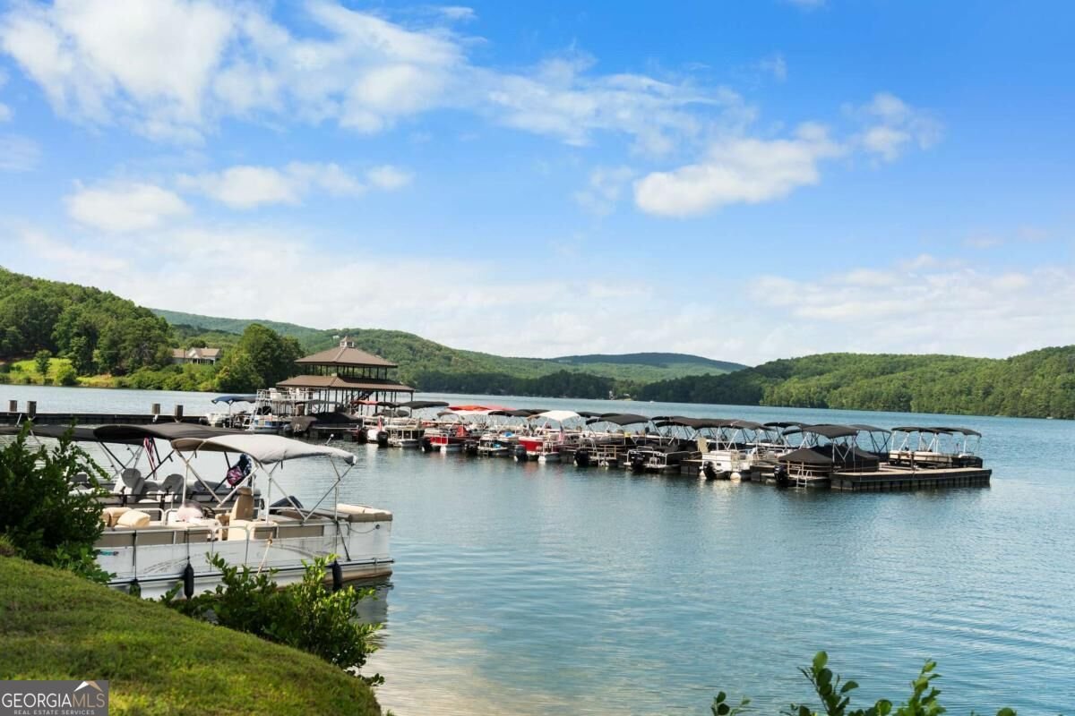 104 Cherokee Cove Waleska - Photo 61