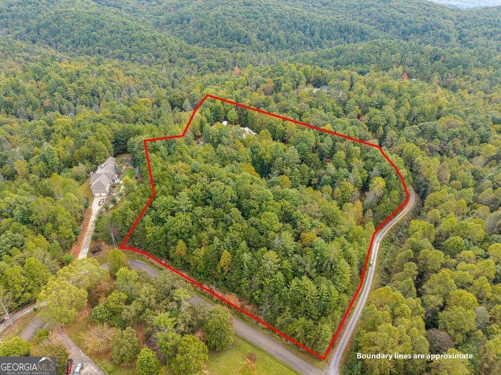 63 Wall Street Ellijay - Photo 30