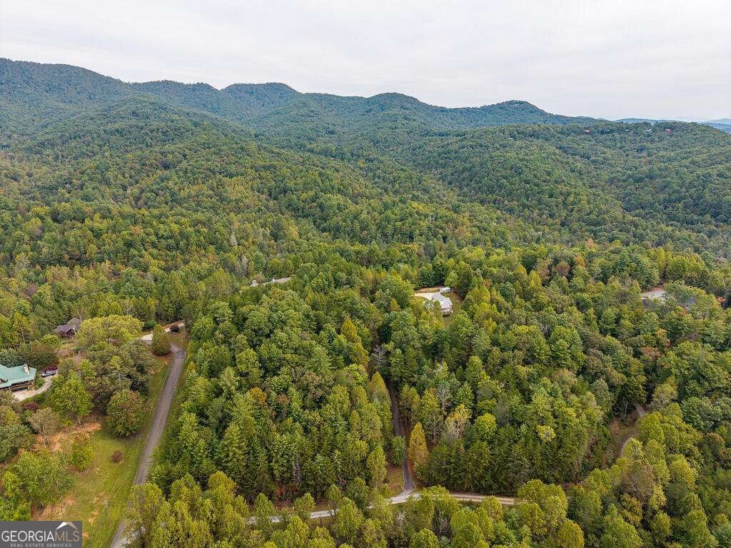 63 Wall Street Ellijay - Photo 42