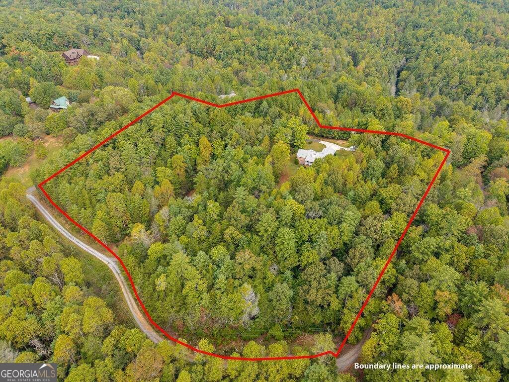 63 Wall Street Ellijay - Photo 43