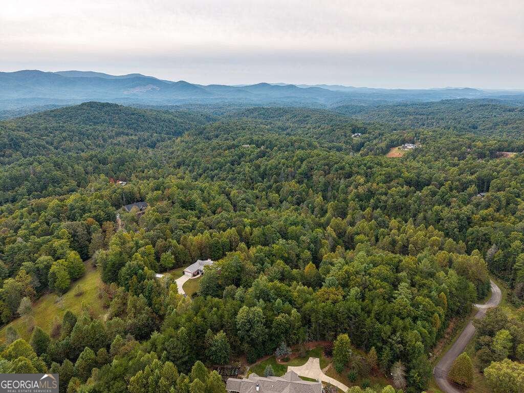 63 Wall Street Ellijay - Photo 44