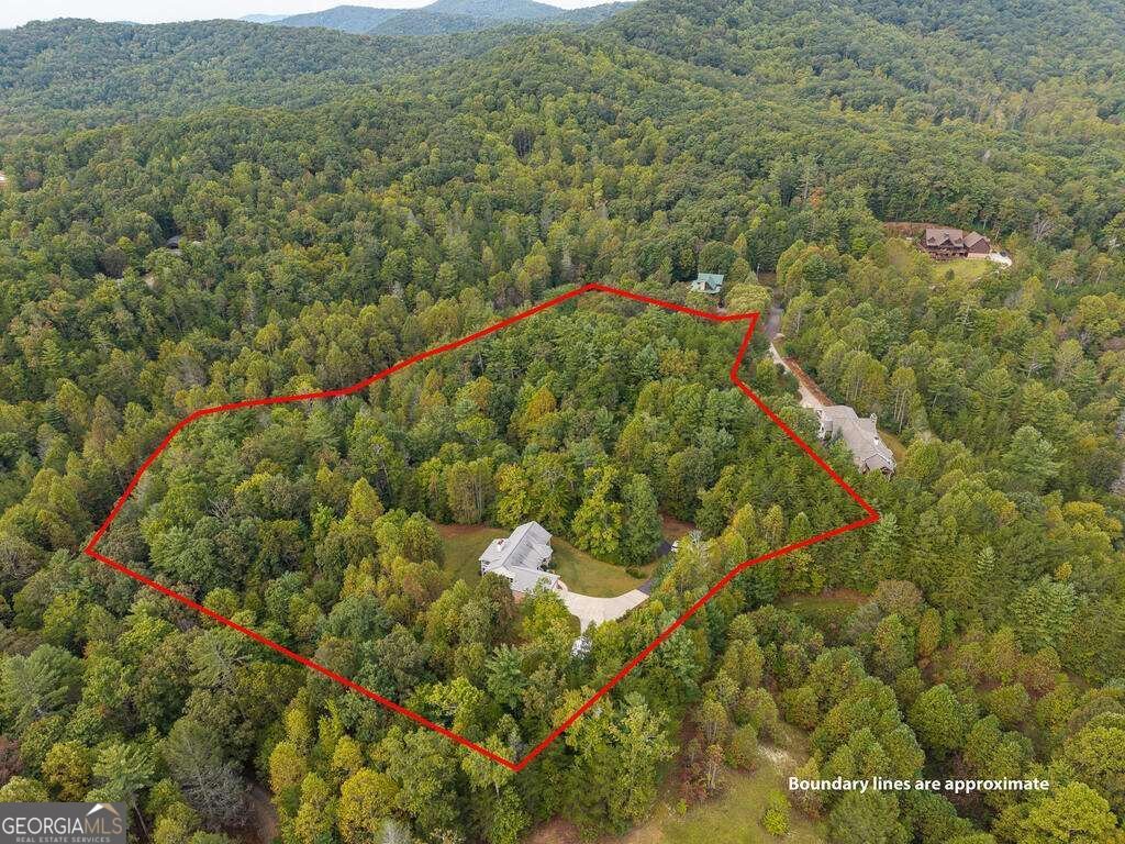 63 Wall Street Ellijay - Photo 45