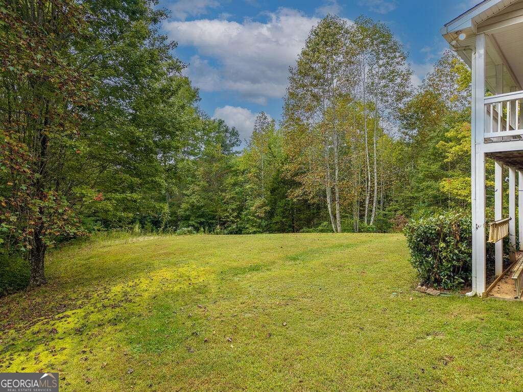 63 Wall Street Ellijay - Photo 57