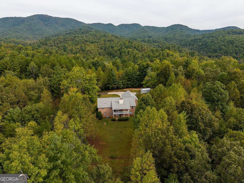 63 Wall Street Ellijay - Photo 58
