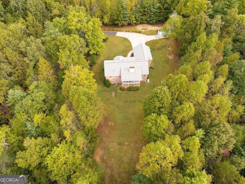 63 Wall Street Ellijay - Photo 59