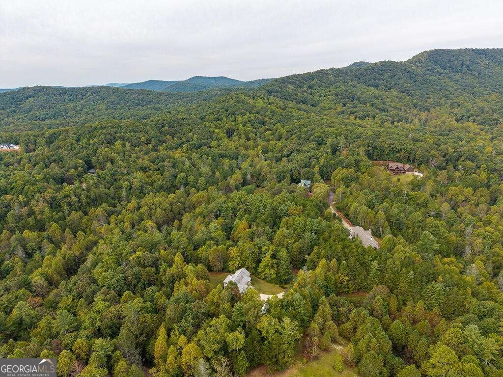 63 Wall Street Ellijay - Photo 6