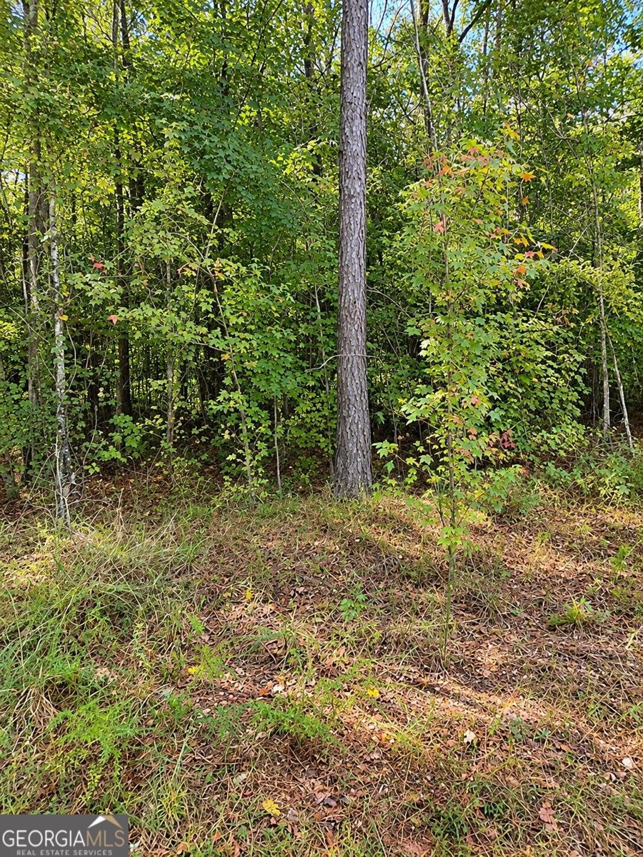 1188 Crooked Creek Road Eatonton - Photo 31
