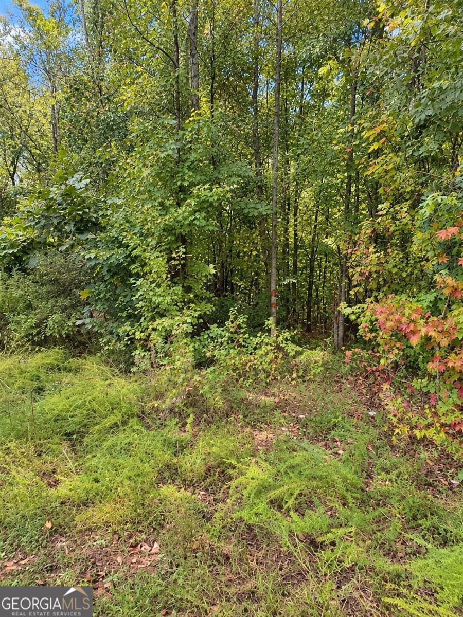 1188 Crooked Creek Road Eatonton - Photo 32