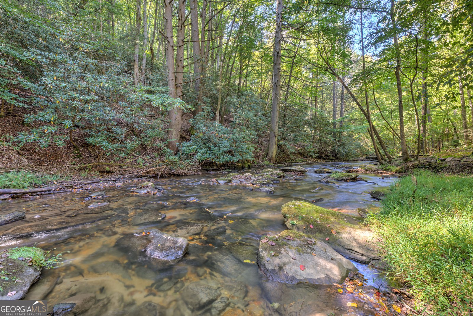 1918 Big Creek Road Cherry Log - Photo 66
