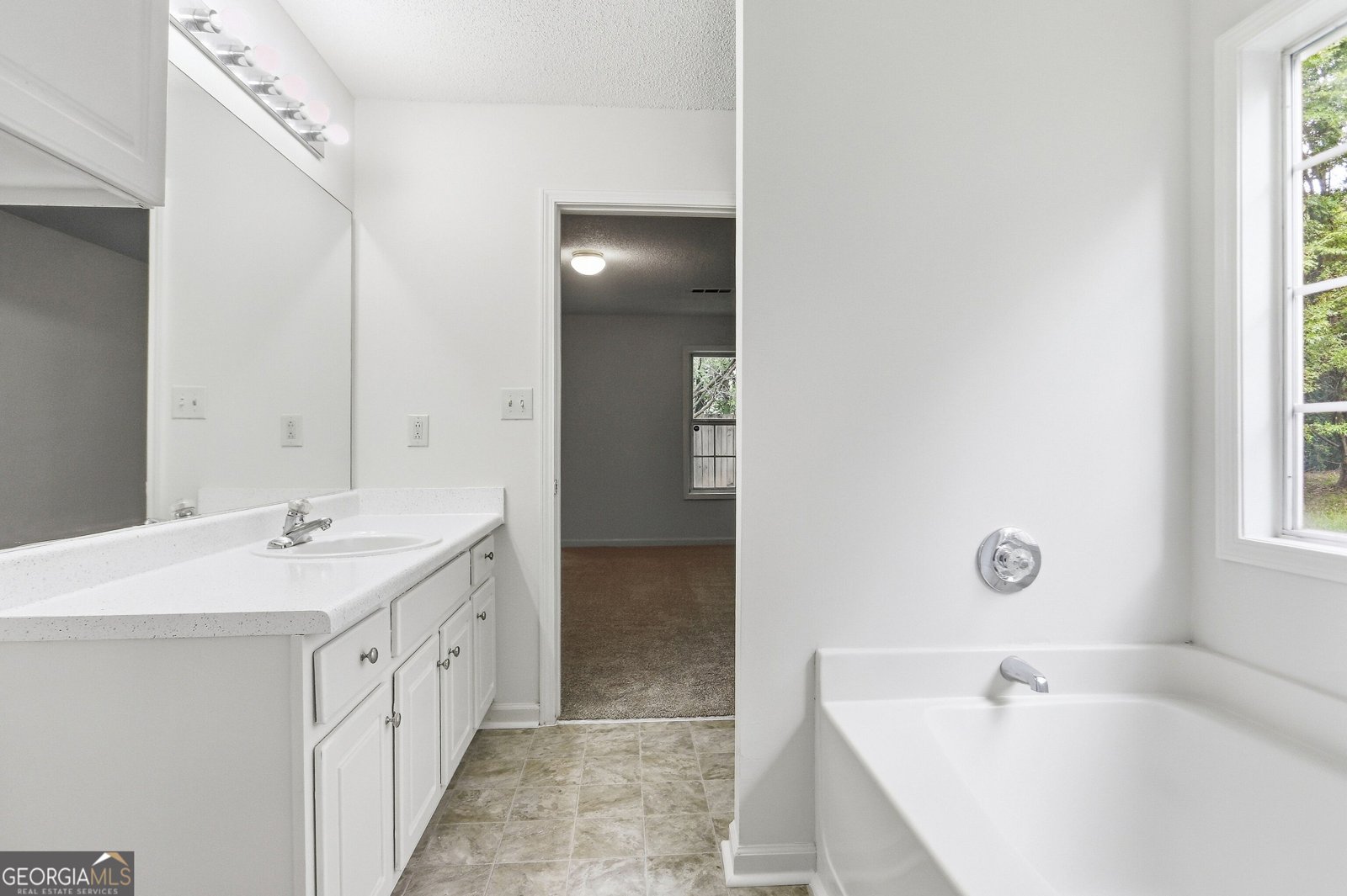 6936 Red Bone Way Lithonia - Photo 10