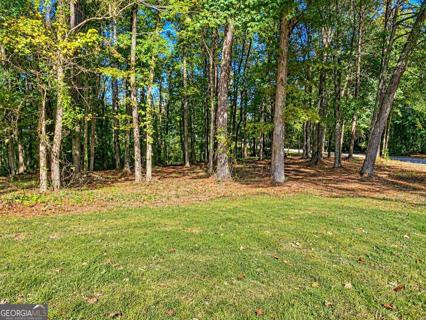 1826 Patricia Lane Loganville - Photo 41
