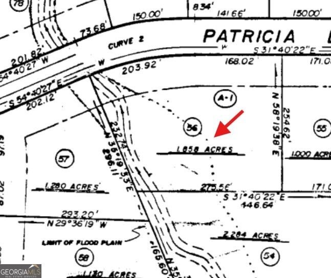 1826 Patricia Lane Loganville - Photo 43