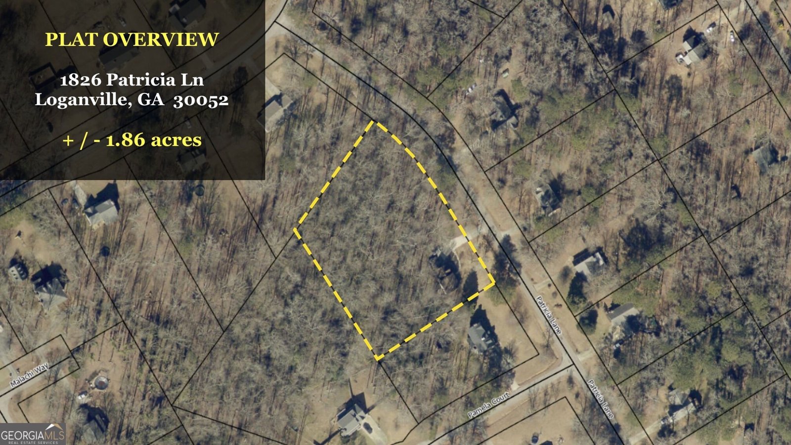 1826 Patricia Lane Loganville - Photo 44