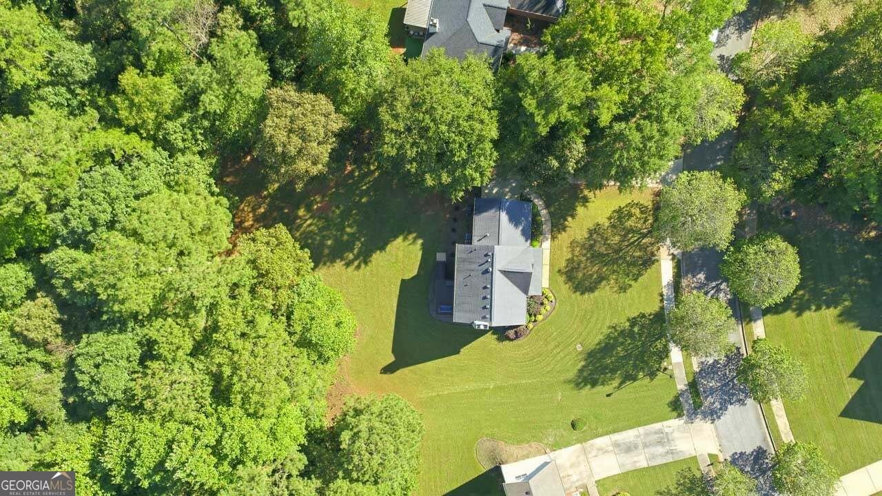 1123 River Green Court McDonough - Photo 25