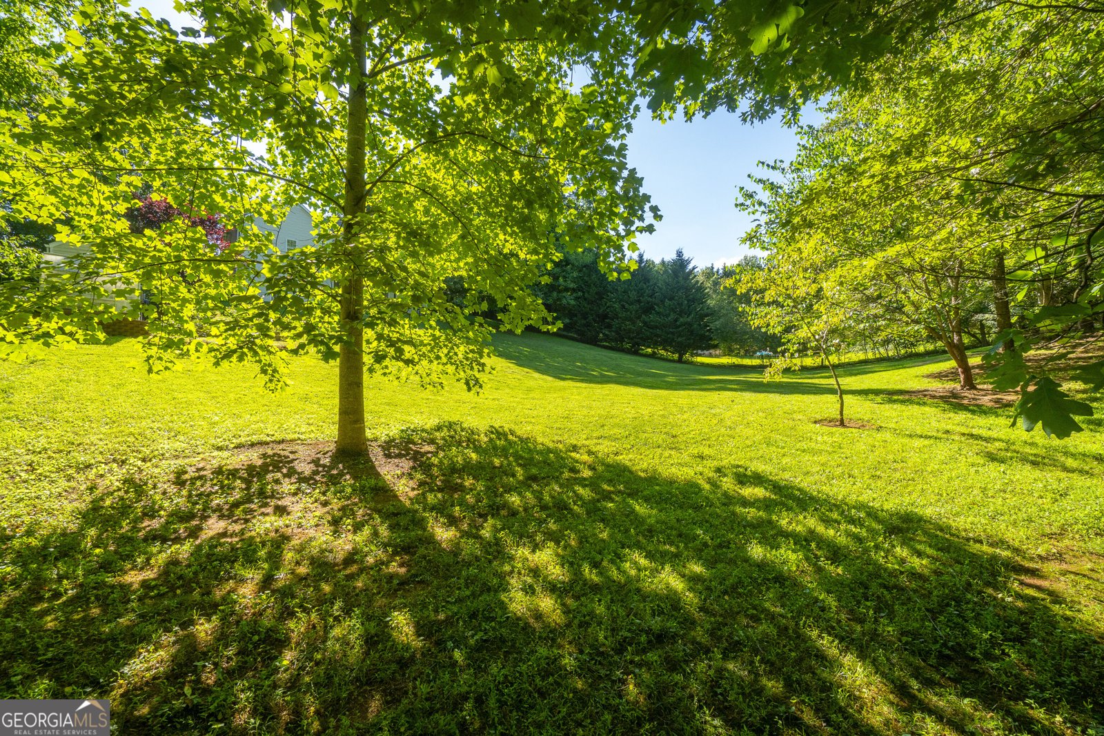 135 Majestic Way Clarkesville - Photo 168