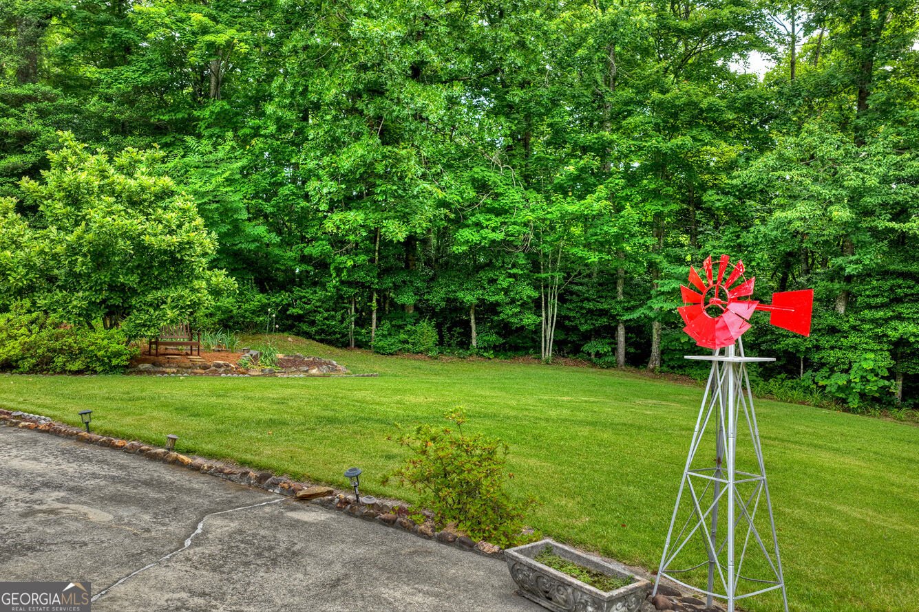 2850 Appalachian Highway Blue Ridge - Photo 67