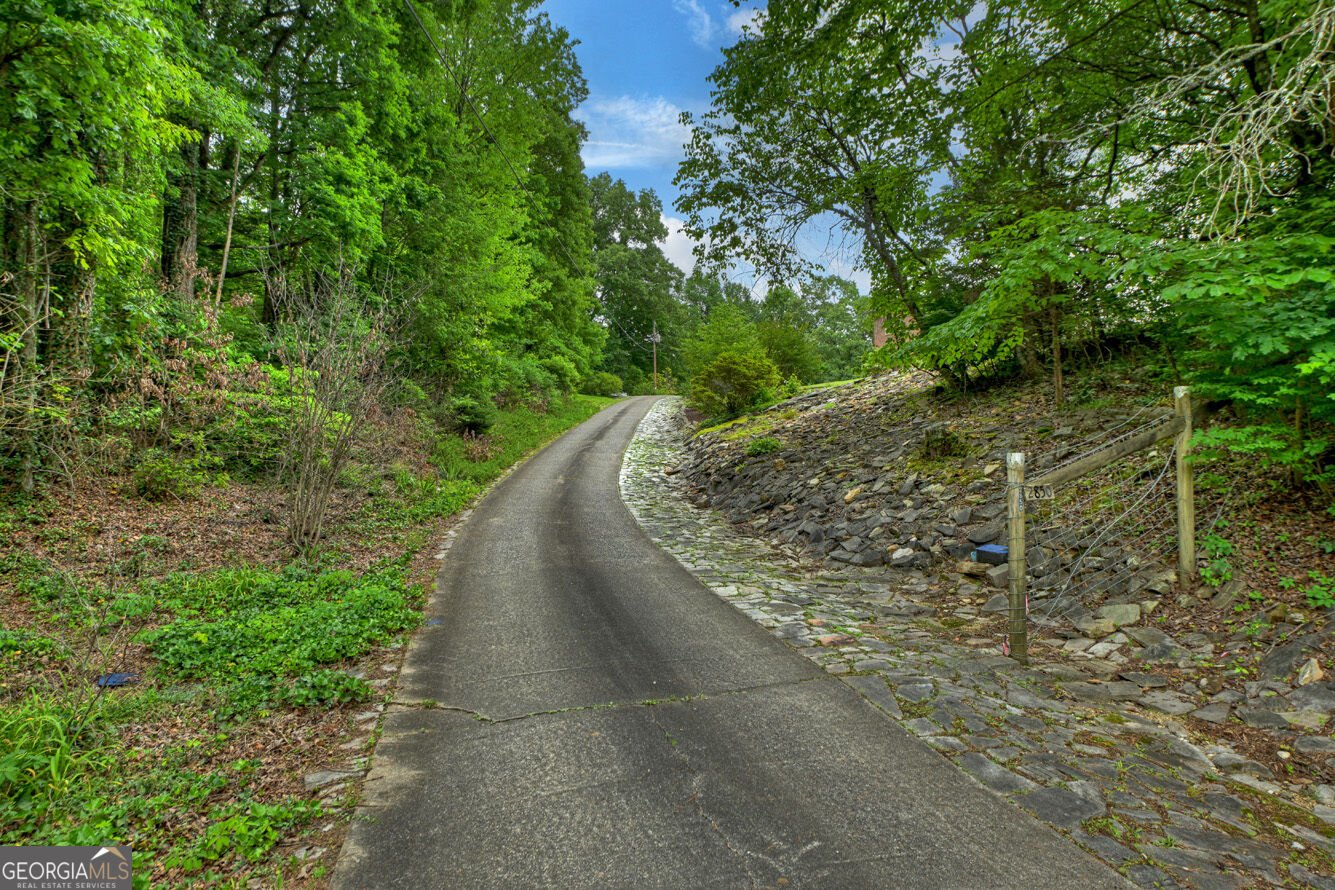 2850 Appalachian Highway Blue Ridge - Photo 70