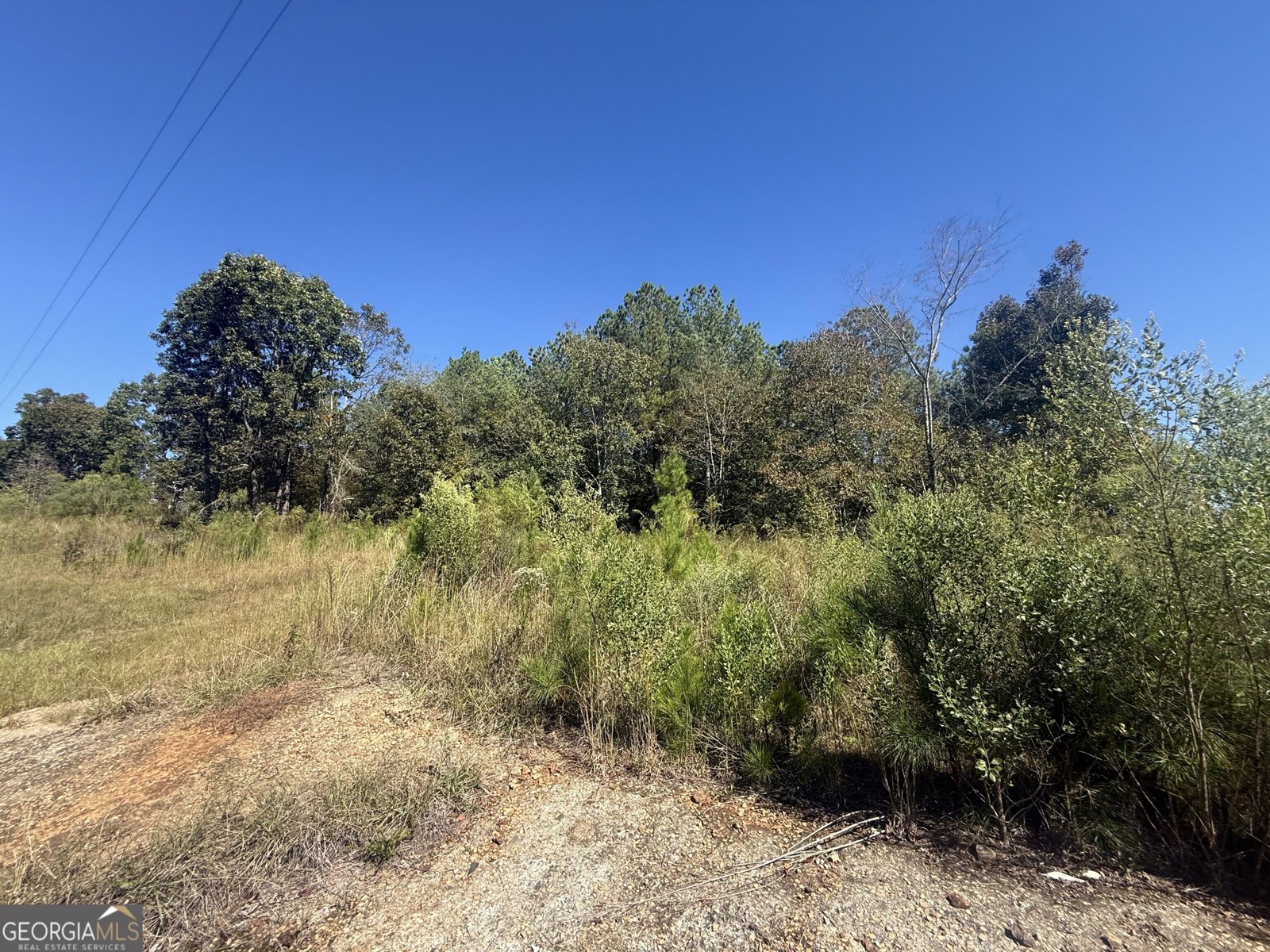 3565 King Hall Mill Road Bowman - Photo 12