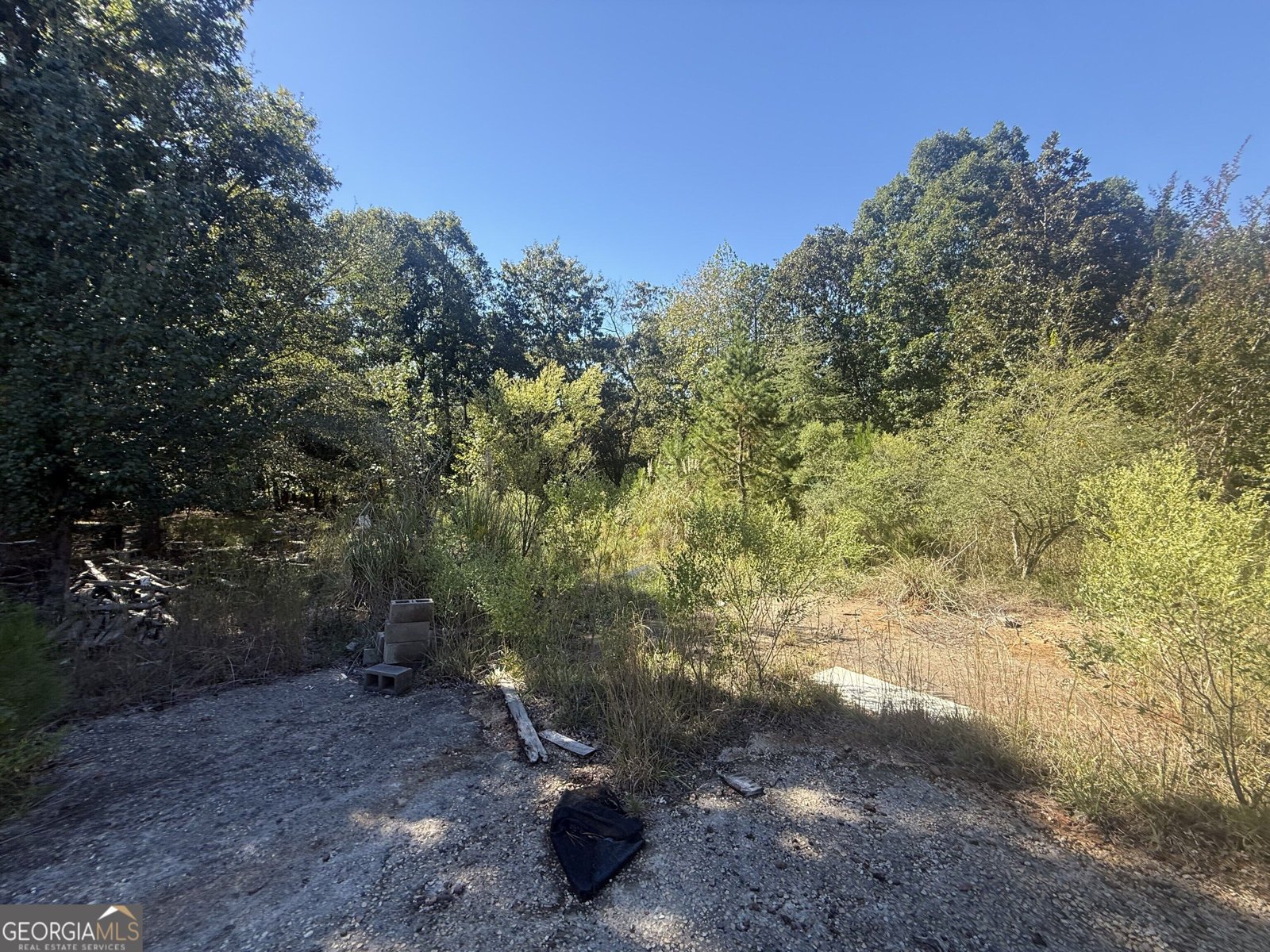 3565 King Hall Mill Road Bowman - Photo 13