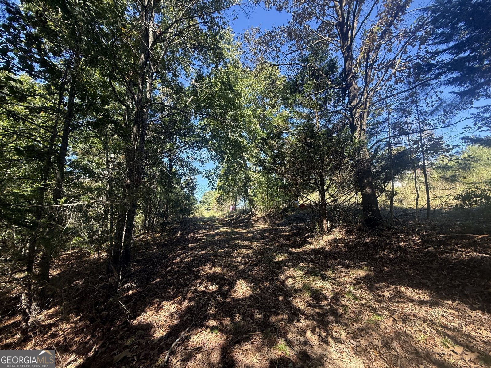 3565 King Hall Mill Road Bowman - Photo 14