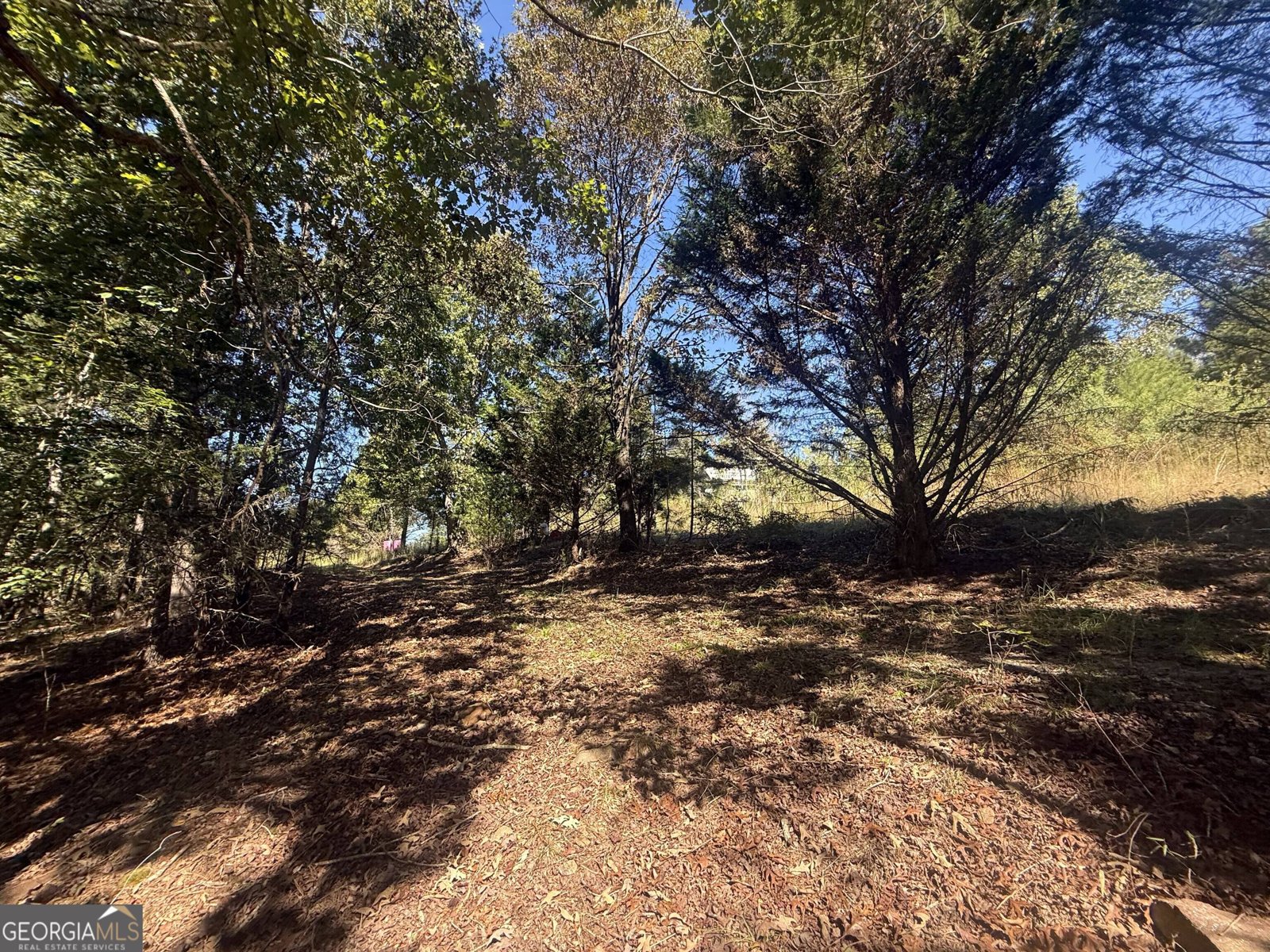3565 King Hall Mill Road Bowman - Photo 15