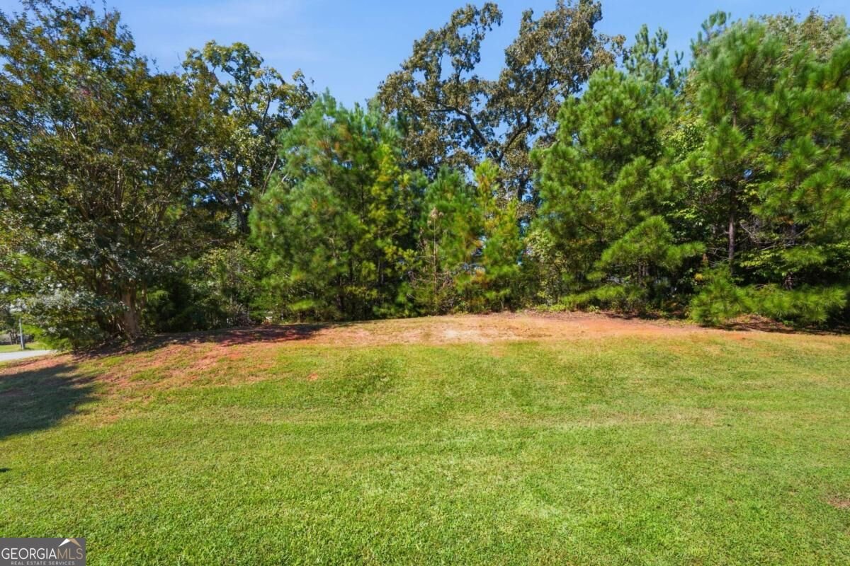 11 Mitchell Run Hiram - Photo 58