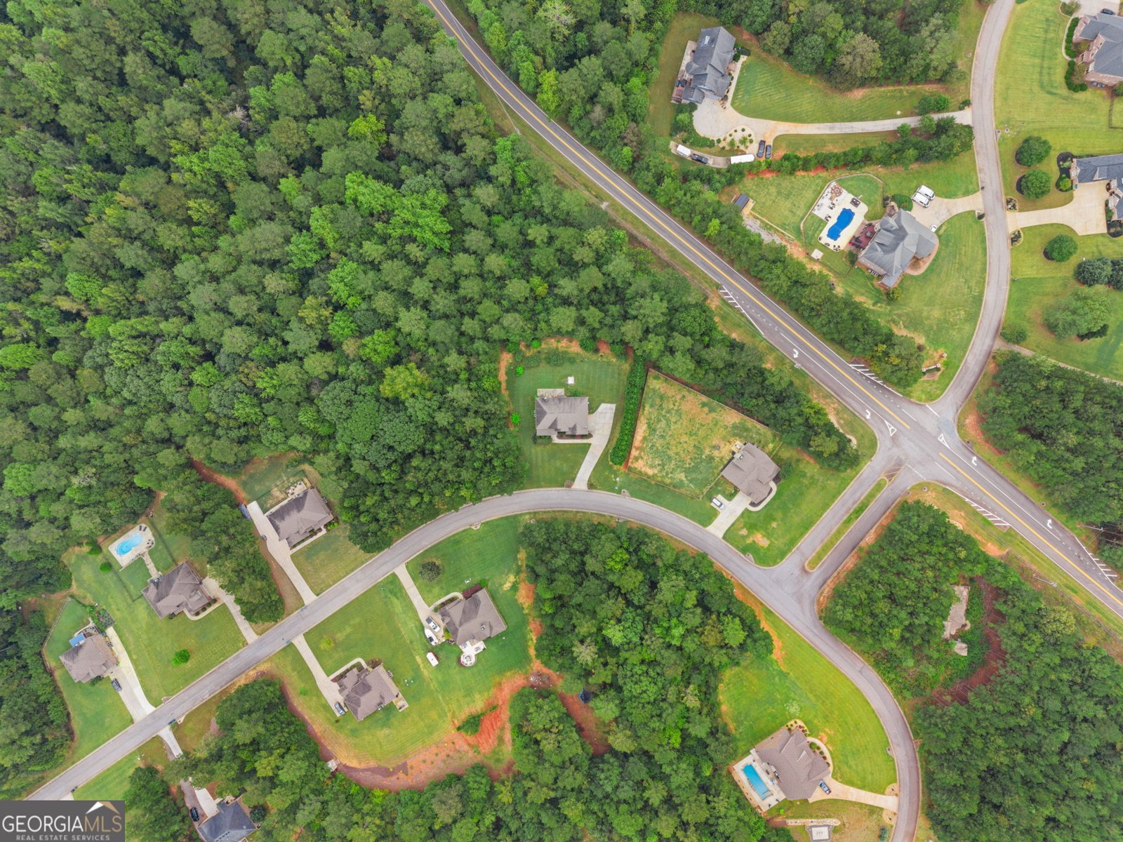 233 Arborview Drive McDonough - Photo 59